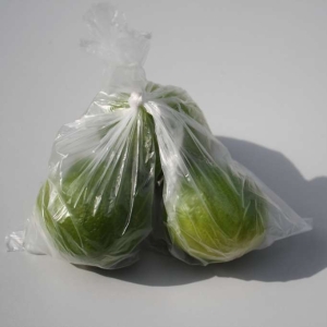 picture of polythene bag
