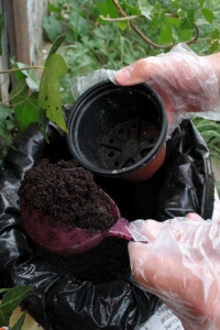 Plastic Bags as Hand Protectors