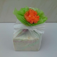 Plastic Bags as Wrapping Paper